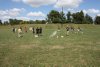IMG_1806.JPG